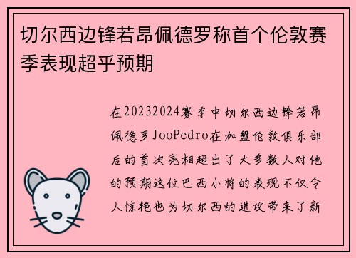 切尔西边锋若昂佩德罗称首个伦敦赛季表现超乎预期